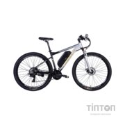 Електровелосипед Formula 29" eF-1 DD CS рама-18,5" 48B 12.5А*г 500Вт 2026 сріблясто-чорний (ELB-FR-29-250)