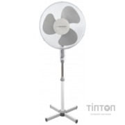 ESPERANZA EHF001WE Hurricane White-Gray