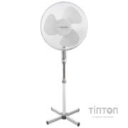 ESPERANZA EHF001WW Hurricane White