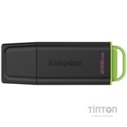 KINGSTON DTXG2/256GB
