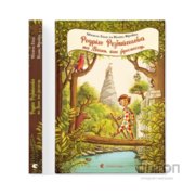 Книга Родріго Розбийголова та Малюк, його зброєносець - Міхаель Енде, Віланд Фройнд Видавництво Старого Лева (9786176799573)