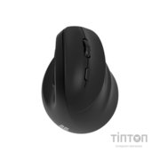 Мишка 2E MF325 Silent Wireless/Bluetooth Black (2E-MF325WBK)