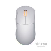 Мишка Hator Quasar 3 Wireless White (HTM731)