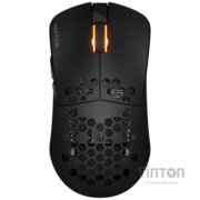 Мишка Hator Stellar Wireless/Bluetooth/USB Black (HTM650)