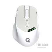 Мишка OfficePro M520W Wireless/Bluetooth White (M520W)