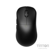 Мишка RAWM ES21 Wireless/Bluetooth Black (ES21.black)