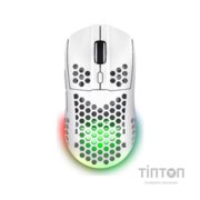 Мишка Trust GXT 929 Helox Wireless/USB-A White (25390)