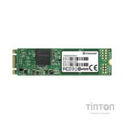 Накопичувач SSD M.2 2280 256GB Transcend (TS256GMTS800S)