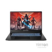 Ноутбук Dream Machines RT5060-17 (RT5060-17UA25)