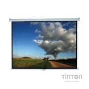 Проекційний екран Elite Screens M113NWS1