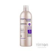 Шампунь Fortesse Professional Dandruff Prevention Для профілактики появи лупи 400 мл (4823115501585)