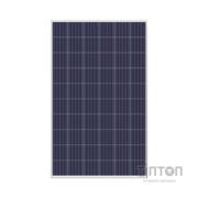 Сонячна панель Amerisolar 285W 5BB, Poly, 1000V (AS-6P30-285W)