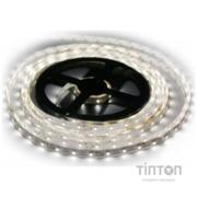 Світлодіодна стрічка EnerGenie EG-LED-STR3528-L60K40-01 SMD 3528 (5м)