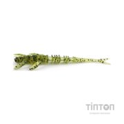Силікон рибальський FishUP Flit 2" 042 - Watermelon Seed (9шт/уп) (1862.00.80)