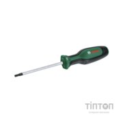 Викрутка Bosch Torx, TX25×100mm (1.600.A03.DT5)